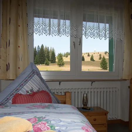 Zajazd Berggasthof-pension Todtnauer Hutte Feldberg (Baden-Wurttemberg)