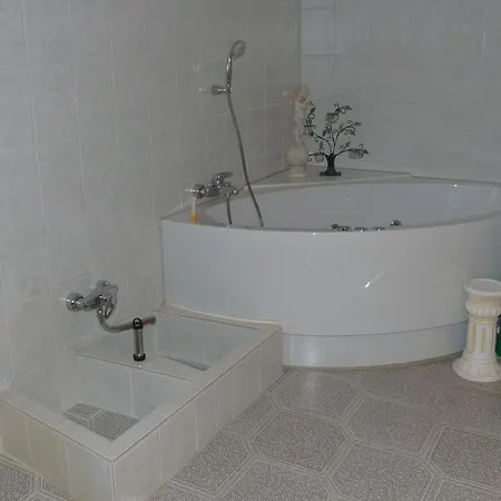 Berggasthof-pension Todtnauer Hutte * Feldberg (Baden-Wurttemberg)