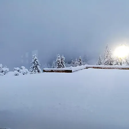 Berggasthof-pension Todtnauer Hutte